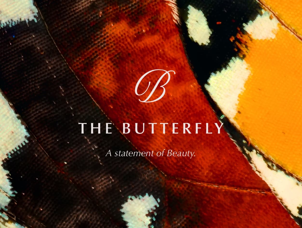 The Butterfly