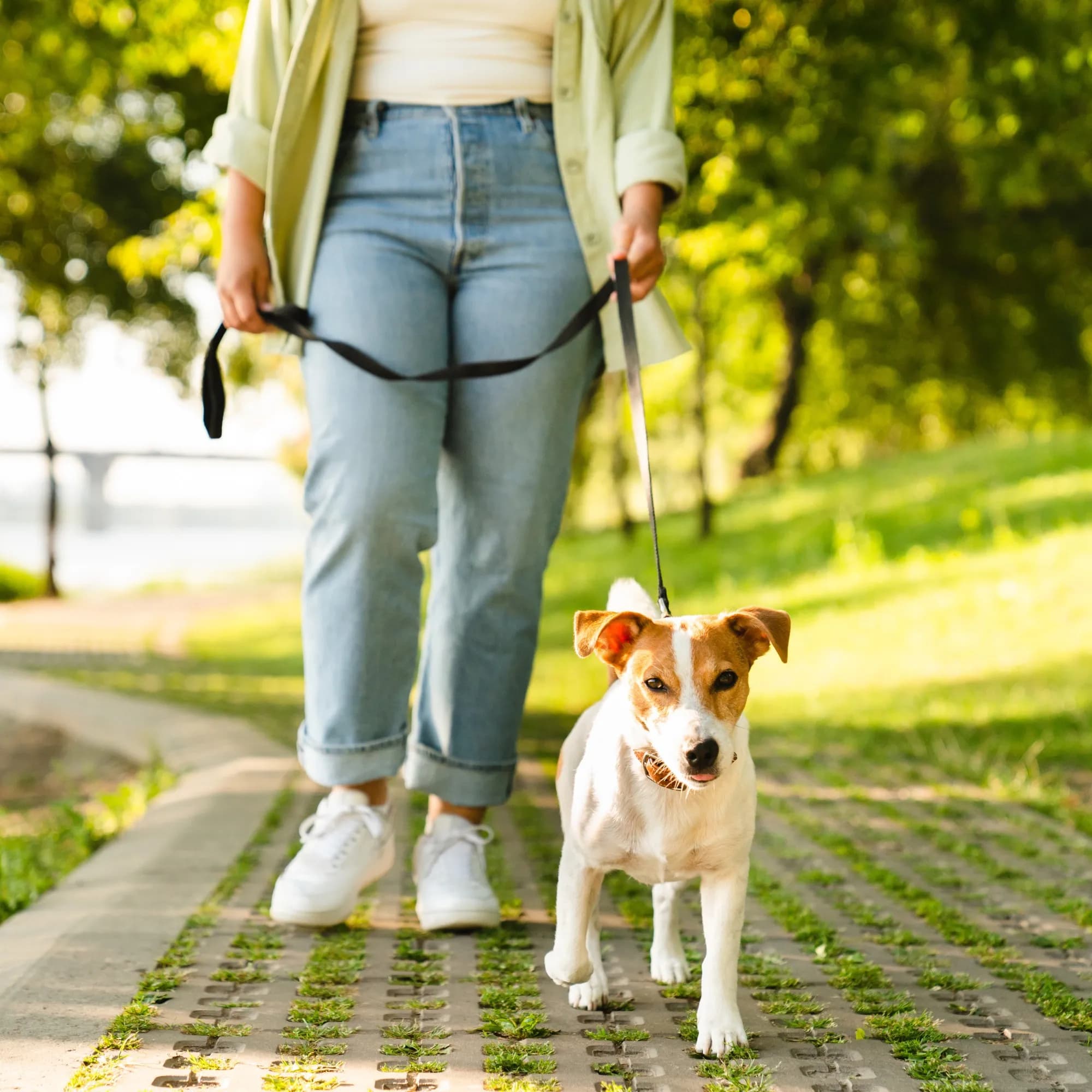 Ideal Walking & Running Paths Ideal Walking & Running Paths